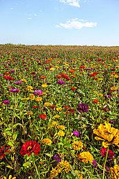 《新世界》首个大型更新《遁入虚空》今日上线